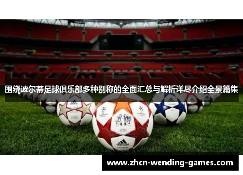 围绕波尔蒂足球俱乐部多种别称的全面汇总与解析详尽介绍全景篇集