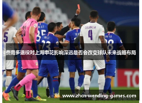 费南多退役对上海申花影响深远是否会改变球队未来战略布局